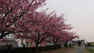 20180315103732225.jpg
